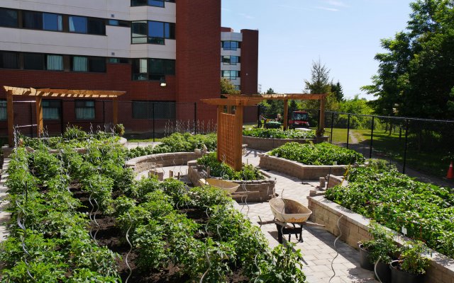 Overlooking The Humber Food Learning Garden
