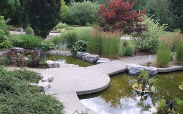 Gardens with path and ponds