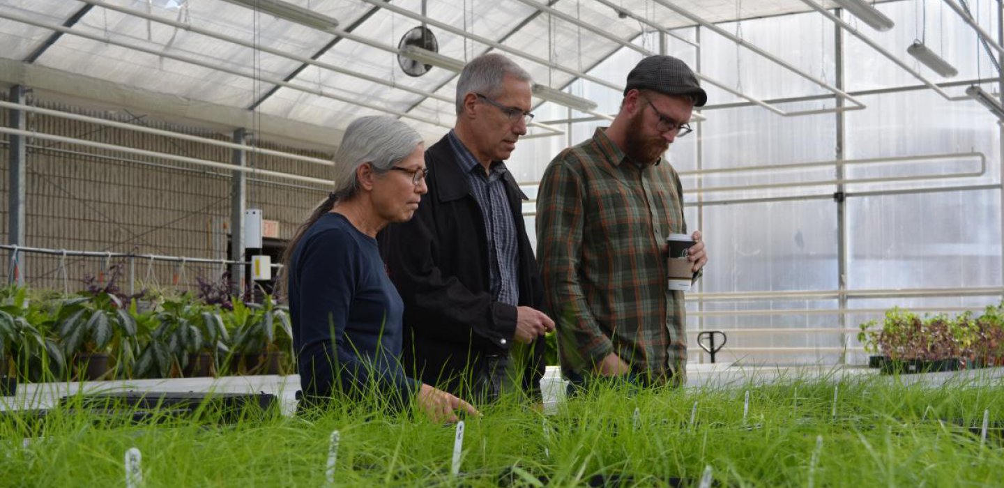 Three people looking at plants in a greeenhouse
