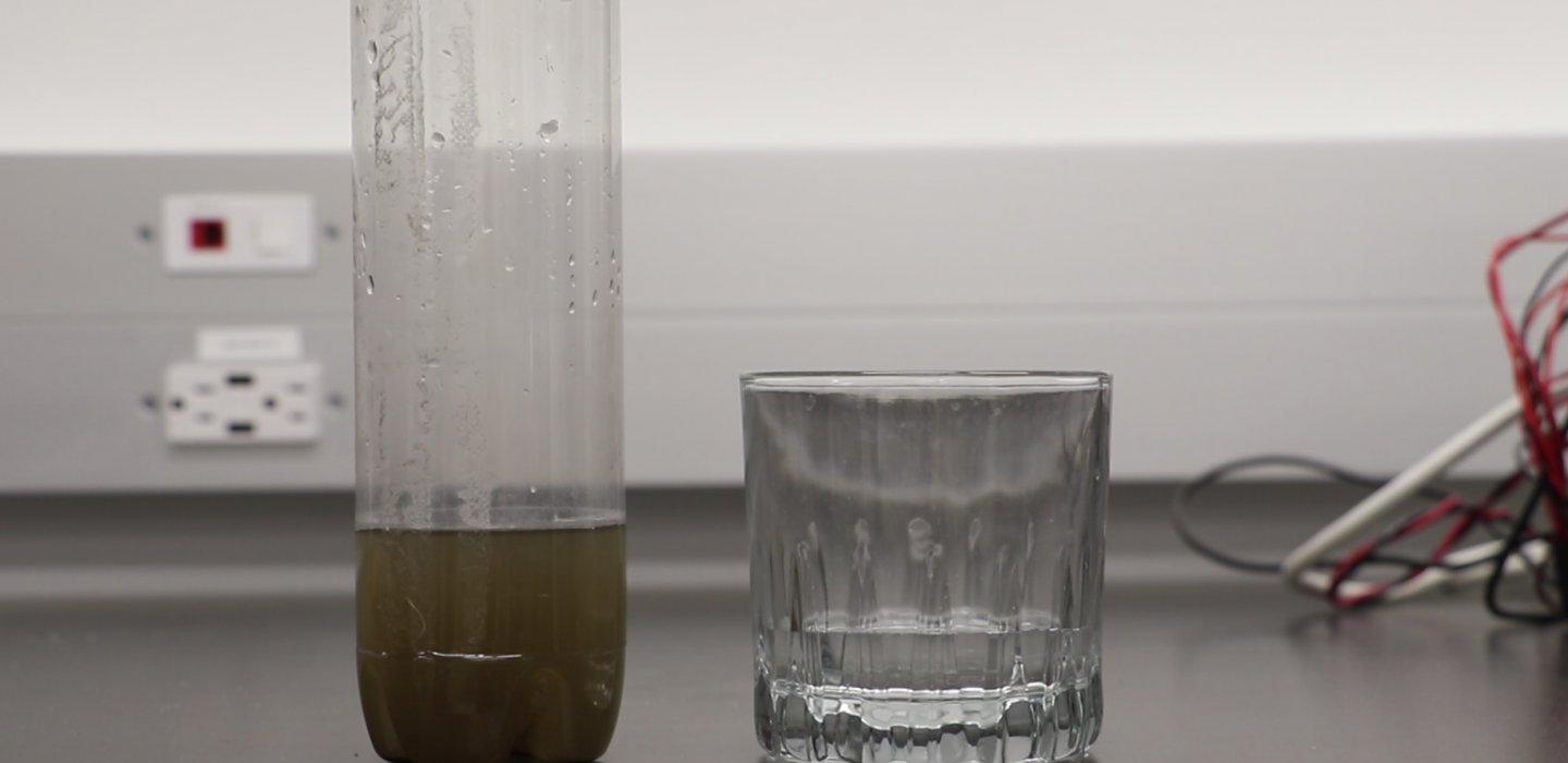 Water Comparison Before and After Treatment