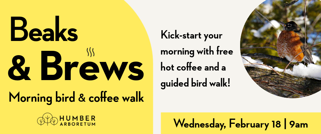 Bird sitting on tree in winter.