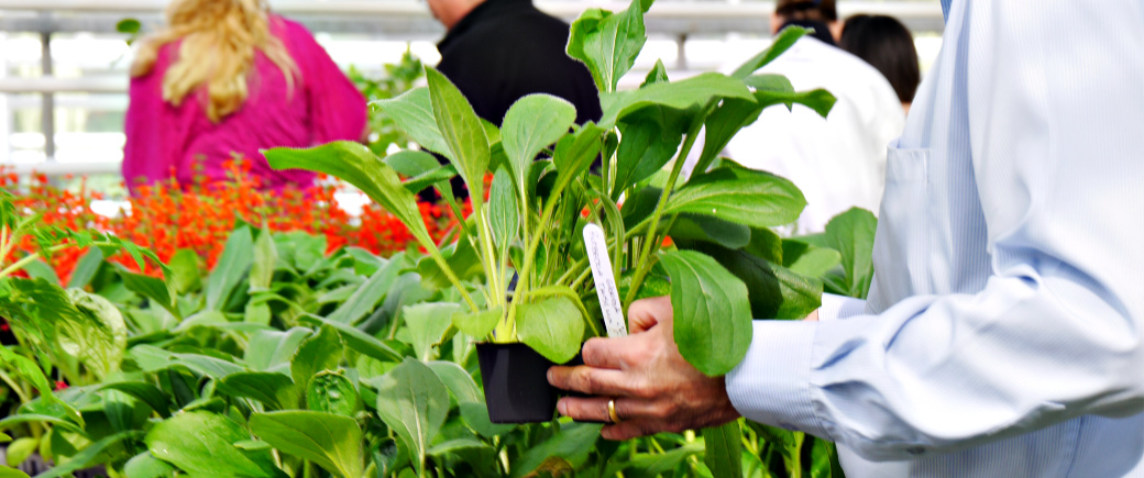 A man in a dress shirt holds a tray of plants inside a greenhouse