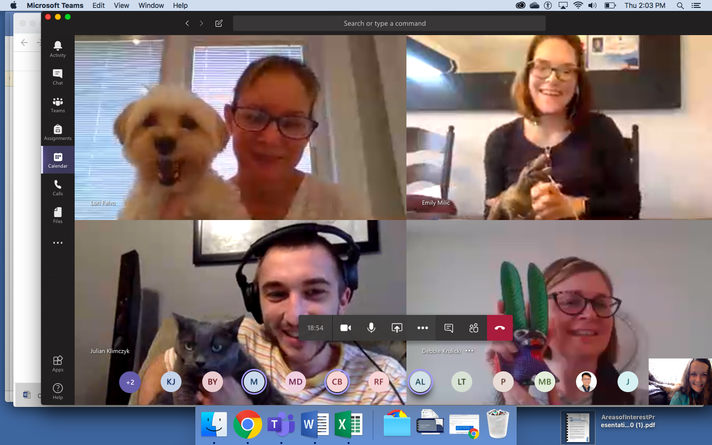 The Government Relations, Marketing&amp; Communications had a pet-friendly team video conference call.