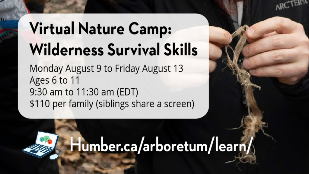 Virtual Nature Camp: Wilderness Survival Skills flyer. Background image of hands pulling apart natural fibers. Text repeats information from post.