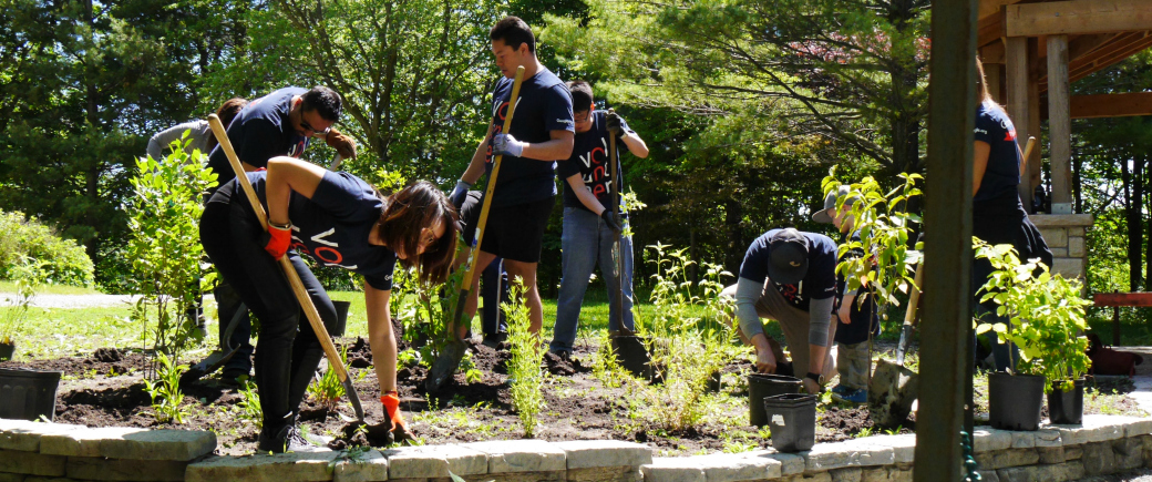 Volunteers help plant the Humber Arboretum's Bird Garden
