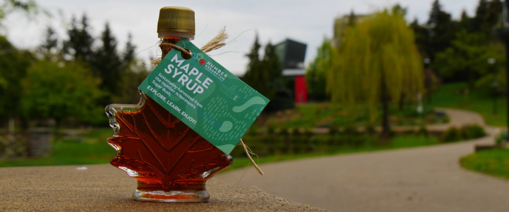A maple syrup bottle sits on a plant stand with the Centre for Urban Ecology in the background