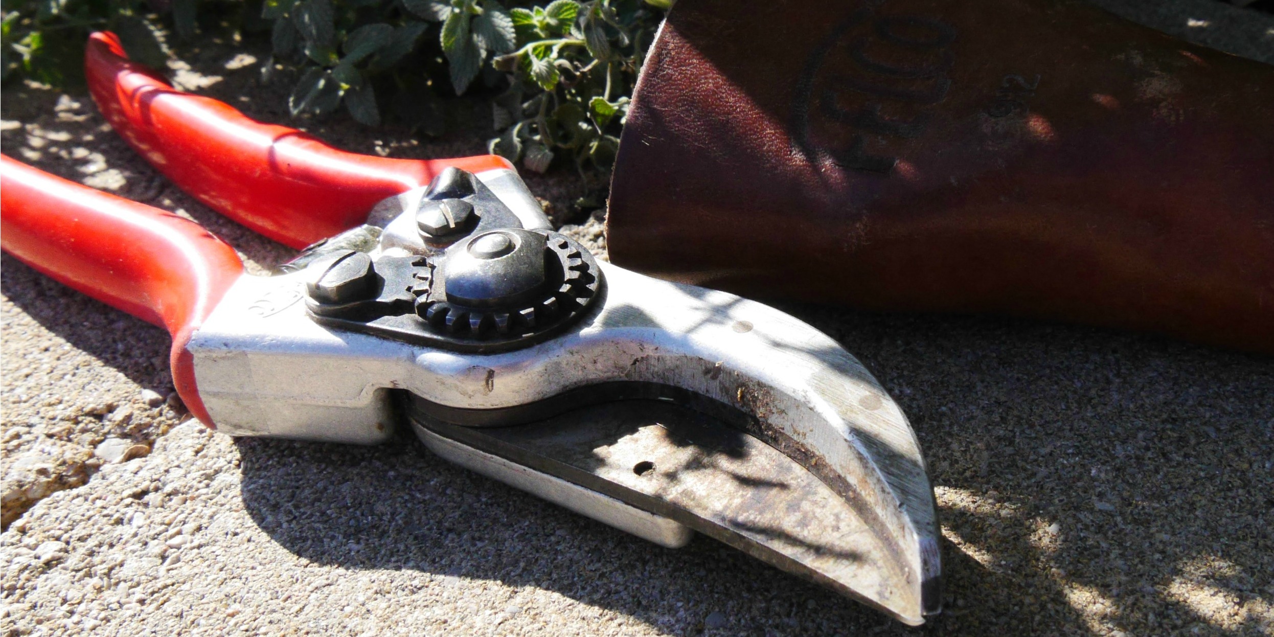 A pair of red-handled pruning shears sit next to a leather case on a stone garden wall.