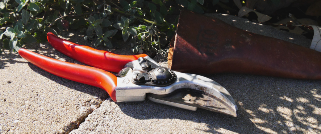 Pruning shears sit on a rock wall