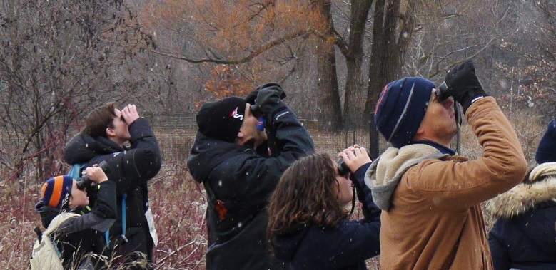 Bird watchers look through their binoculars