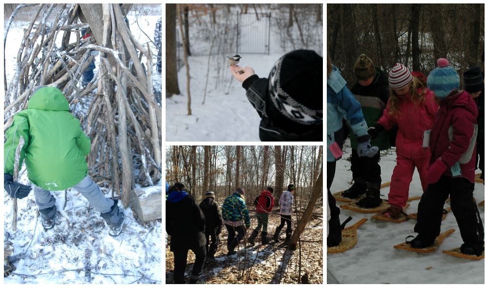 Children enjoying snowshoeing, chickadee feeding, and shelter building at nature camp.