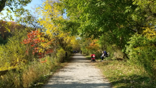 Emily Pan-Fall at the Culham Trail in the Erindale Park