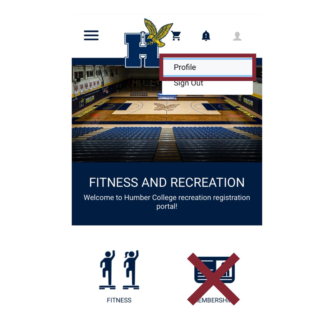Profile icon and Profile selection