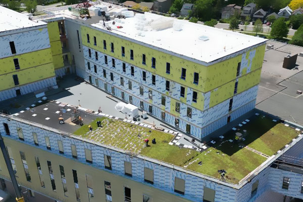 Humber campus building with green roof
