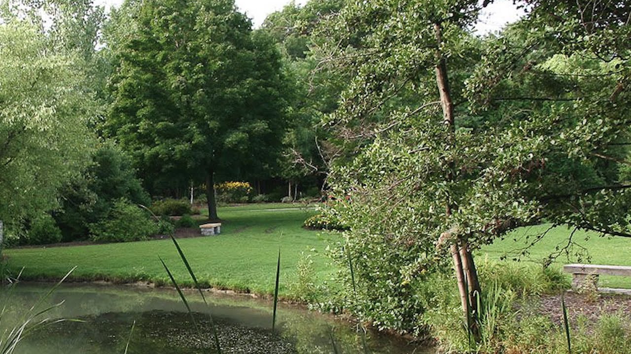 Humber Arboretum is Toronto's 250-acre nature wonderland