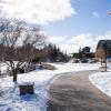 A paved trail winds through the Humber Lakeshore campus with snow on either side of the path