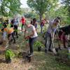 A large group of people in a forest are using shovels to plant shrubs and trees.