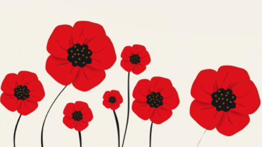 Red poppies on a cream background