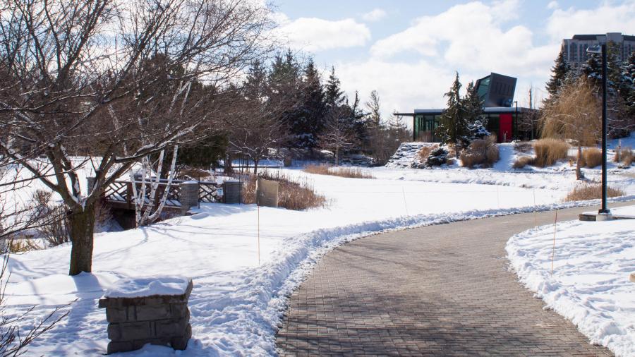 A paved trail winds through the Humber Lakeshore campus with snow on either side of the path