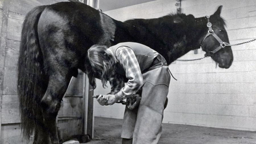 A person is holding a horse’s leg and using a tool on its horseshoe.