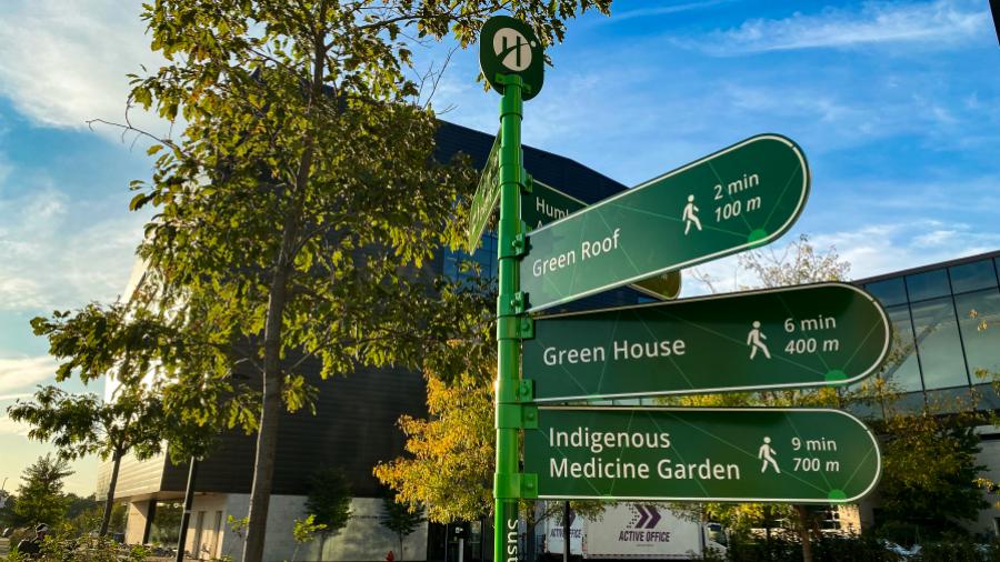 A sign post with signs pointing in different directions reading Green Roof, Green House and Indigenous Medicine Garden.