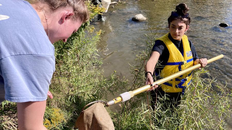 A person standing in a river empties a net into a bucket.