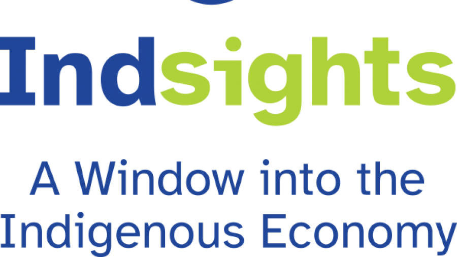 A logo with the words Indsights A Window into the Indigenous Economy written below it.