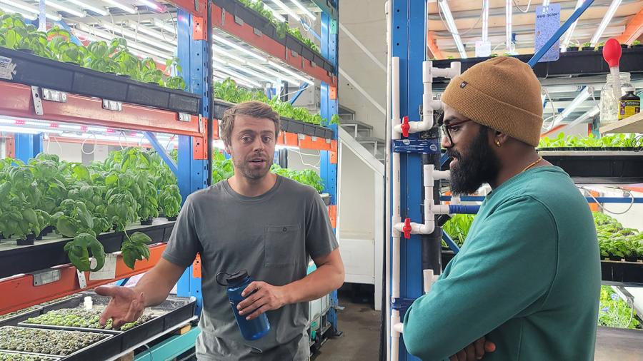 Two people stand in front of plants that are growing beneath lights while indoors.