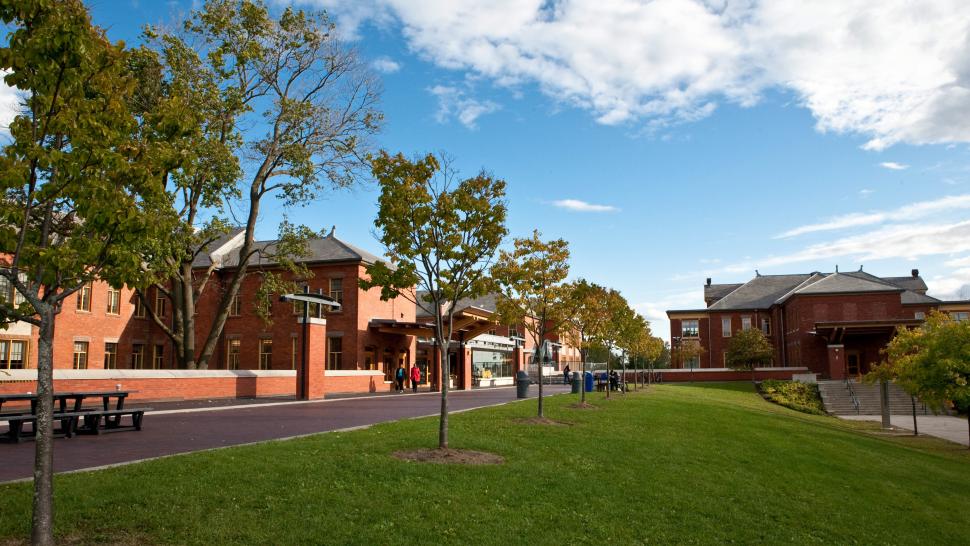 Humber campus on a summer day