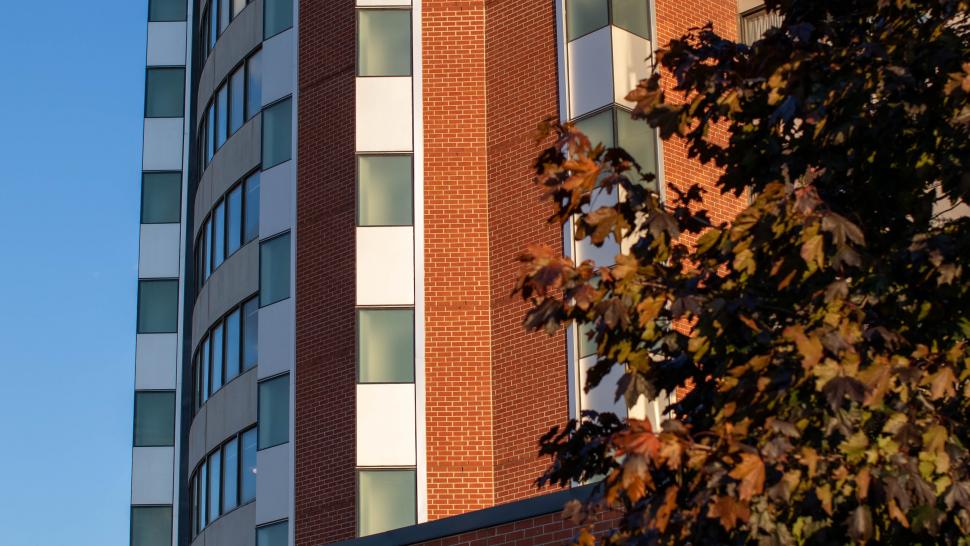 A tall Humber College residence building is seen from behind autumn leaves.