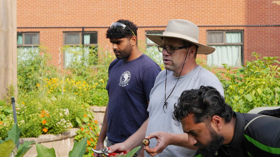 Three people stand in a garden. One is holding pruning sheers and a piece of fruit.