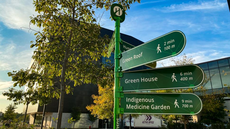 The Sustainability Trail is a series of plaques that highlight environmentally friendly initiatives at North and Lakeshore campuses. A sign post with signs pointing in different directions reading Green Roof, Green House and Indigenous Medicine Garden.
