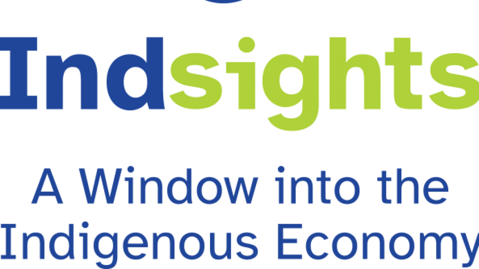 The words Indsights A Window into the Indigenous Economy.