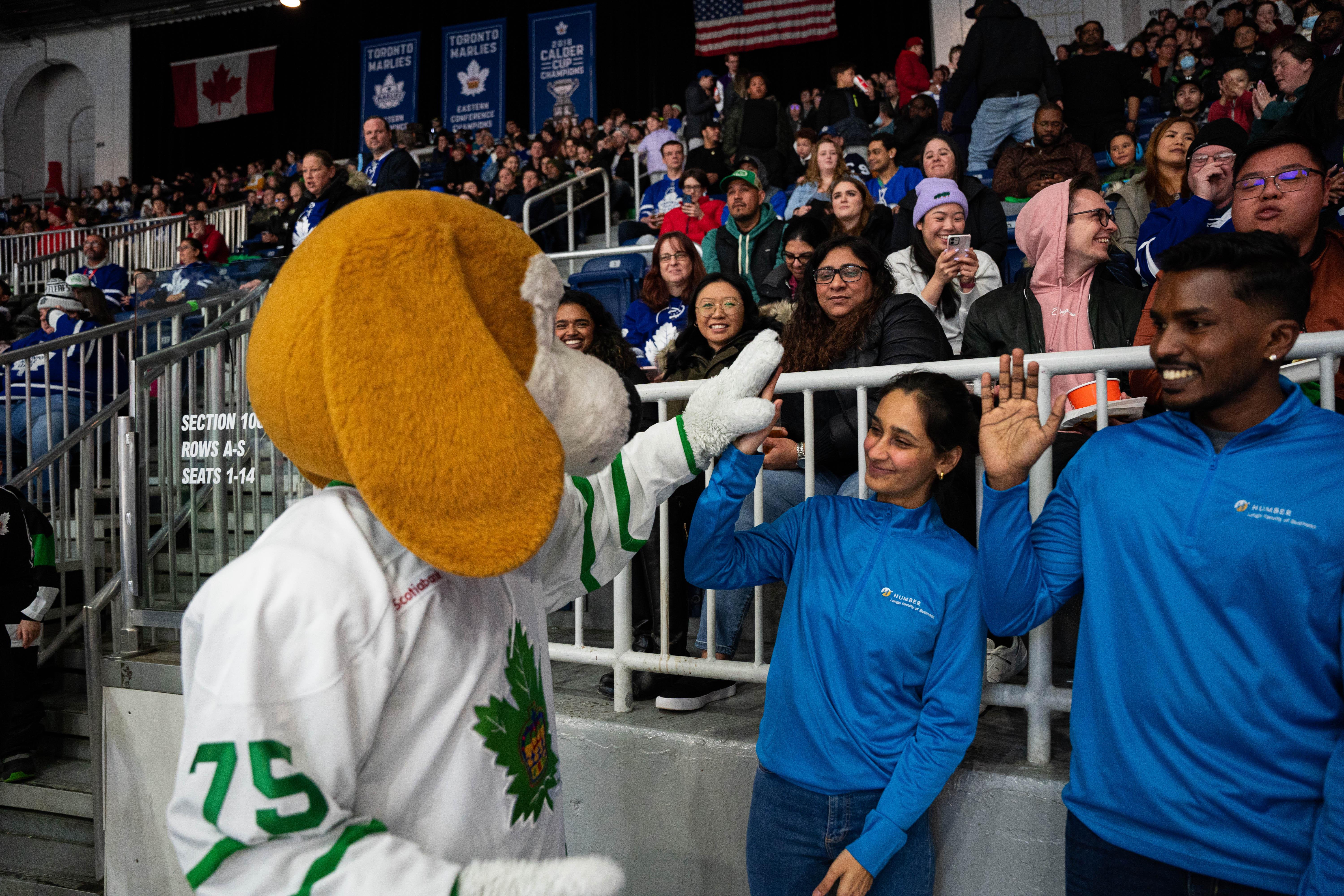 Two people wearing Humber sweaters high-five the Toronto Marlies mascot.