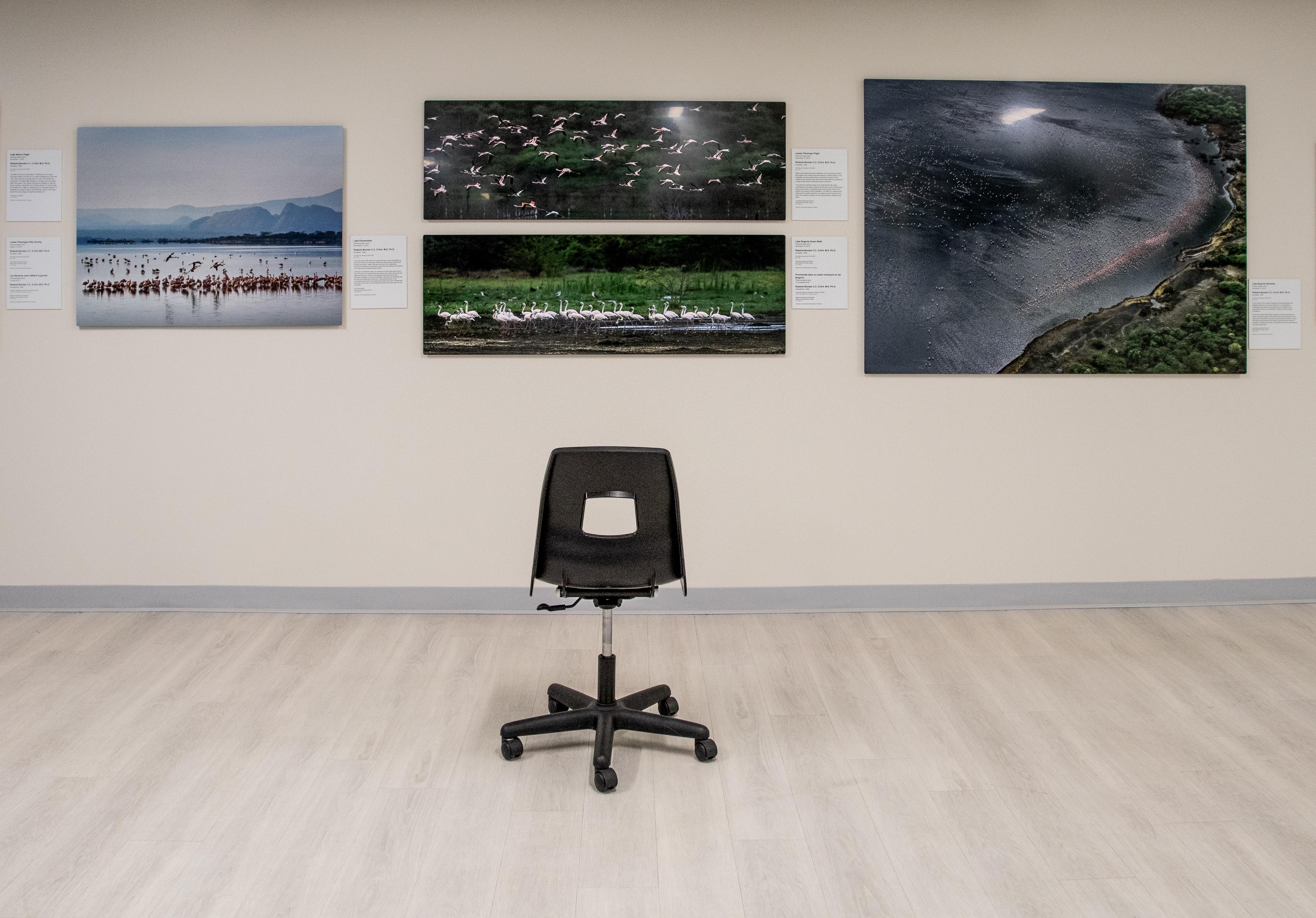 A series of photographs installed in a gallery as part of an exhibition.