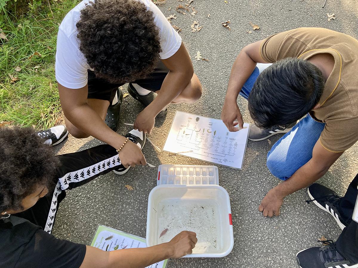 Students are sitting on the ground and looking at samples pulled from the Humber River.