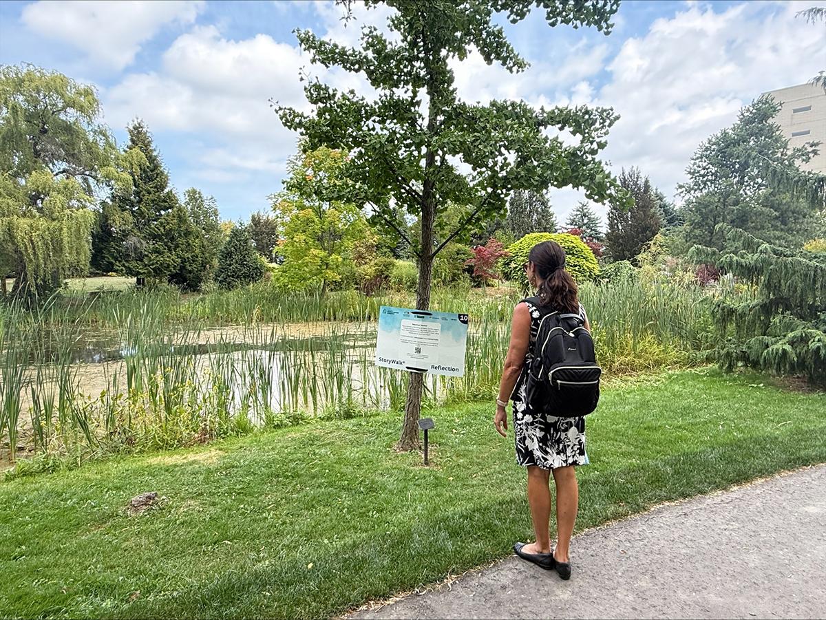 The Humber Polytechnic community is encouraged to participate in a self-guided StoryWalk at the Humber Arboretum. A person looks at a sign on a tree in the Humber Arboretum.