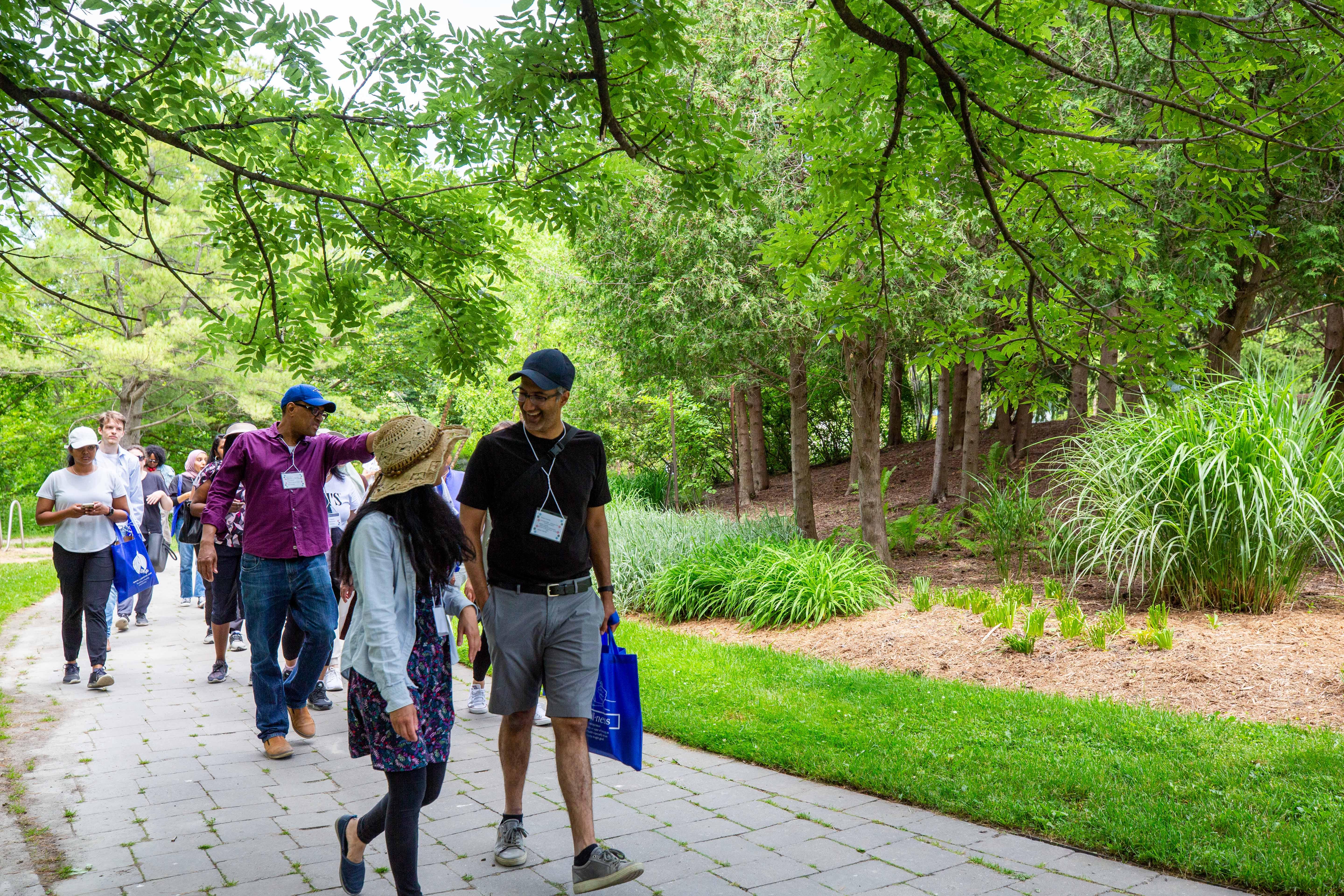 A group of people walk along a path through a forest.