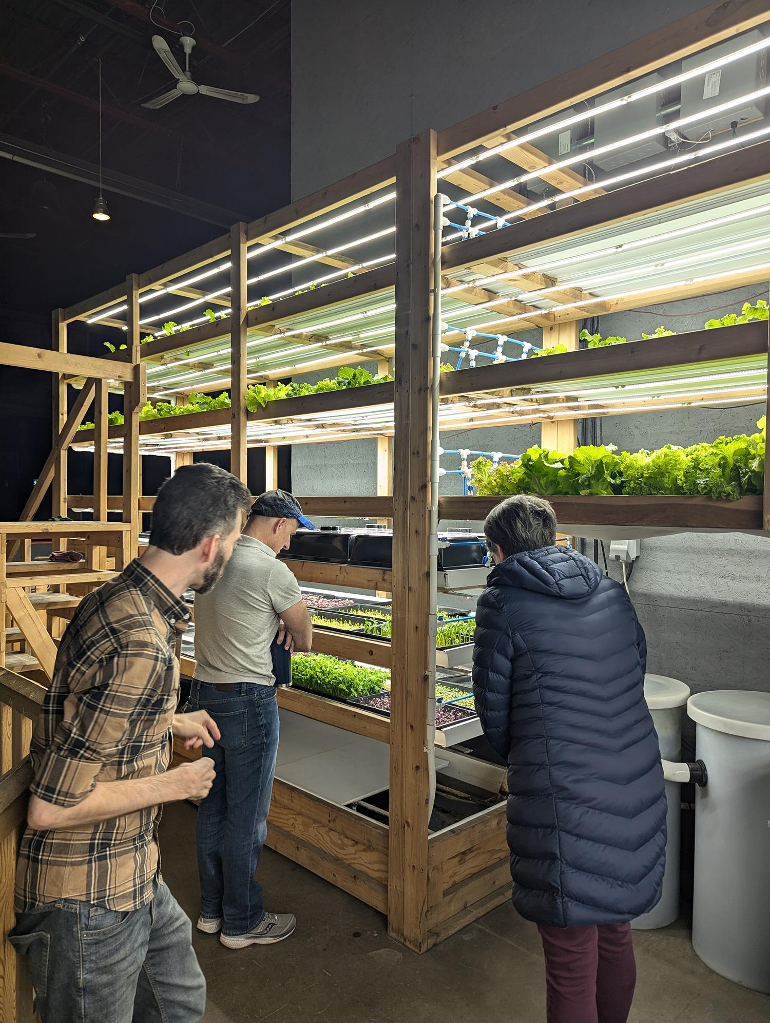 People look at plants that are being grown indoors under lights.