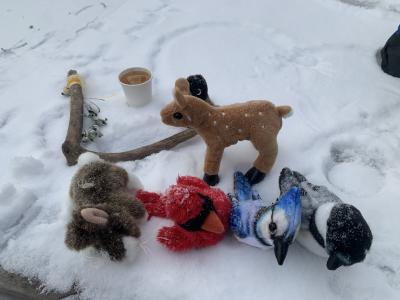 The group brought along plush animals - blue jay, robin, deer, loon - to illustrate Williams' story.