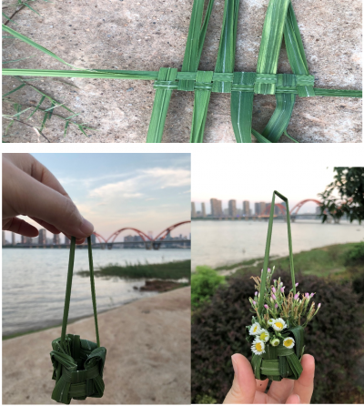 Nancy Hwang's summer school project, a woven grass basket, is shown in three pictures -at the beach, near a road and in progress