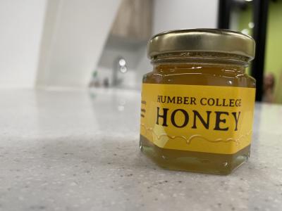 A jar of honey with a label that reads Humber College honey.
