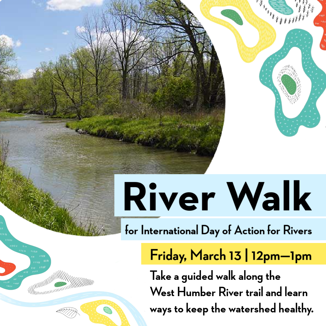 River Walk for the International Day of Action for Rivers | Humber Today